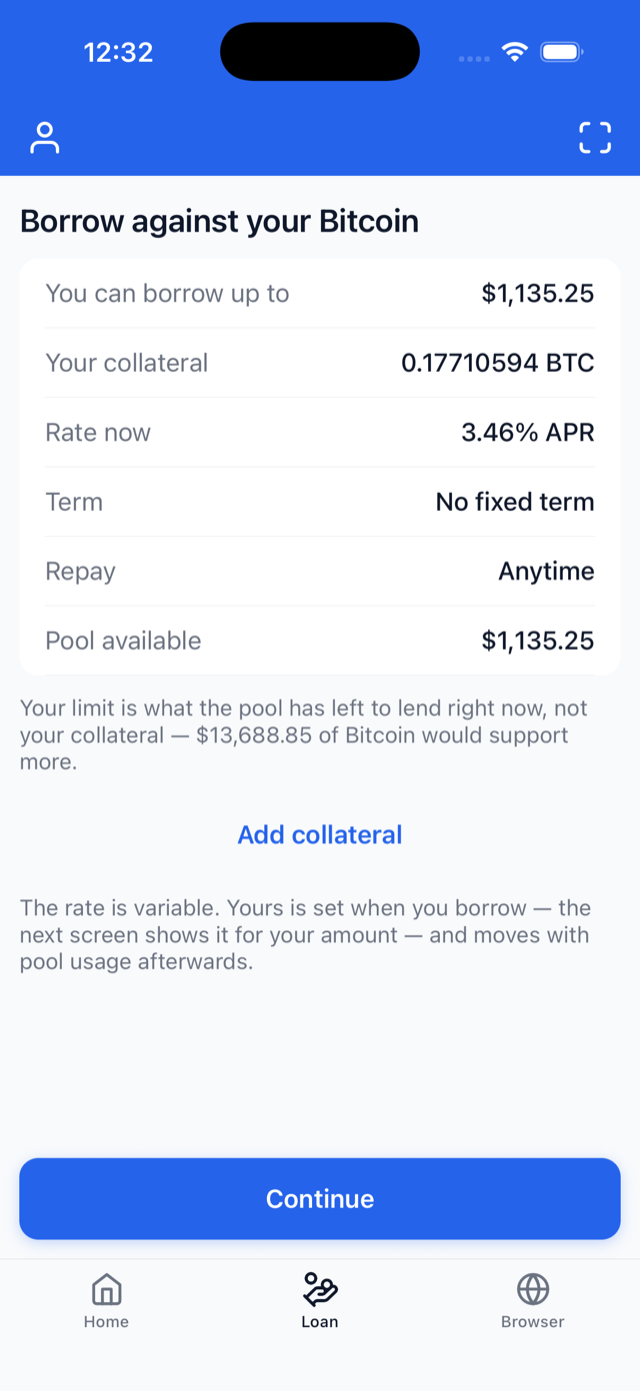 Borrow terms: how much you can borrow, your collateral, the current rate, no fixed term, and repay anytime.